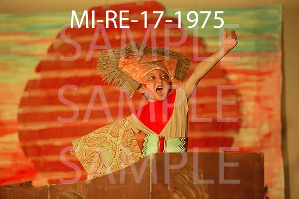 MI-RE-17-1975.jpg
