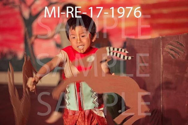 MI-RE-17-1976.jpg