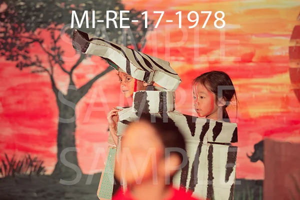 MI-RE-17-1978.jpg