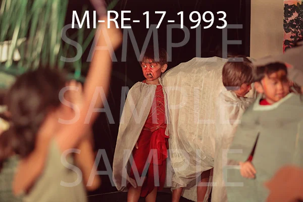 MI-RE-17-1993.jpg