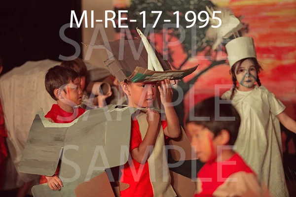 MI-RE-17-1995.jpg