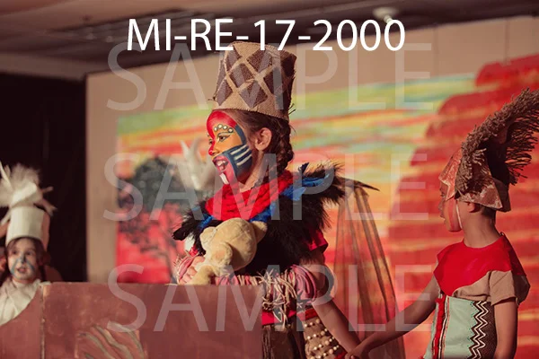 MI-RE-17-2000.jpg