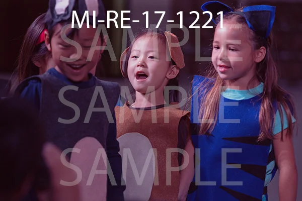 MI-RE-17-1221.jpg