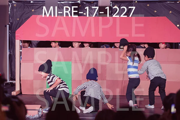 MI-RE-17-1227.jpg