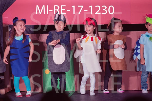 MI-RE-17-1230.jpg