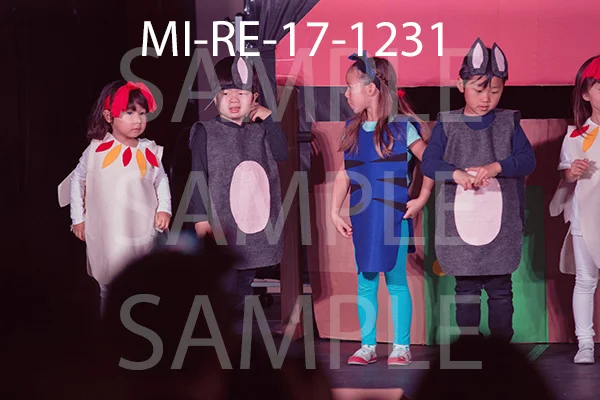 MI-RE-17-1231.jpg