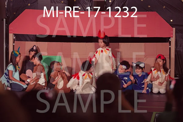 MI-RE-17-1232.jpg