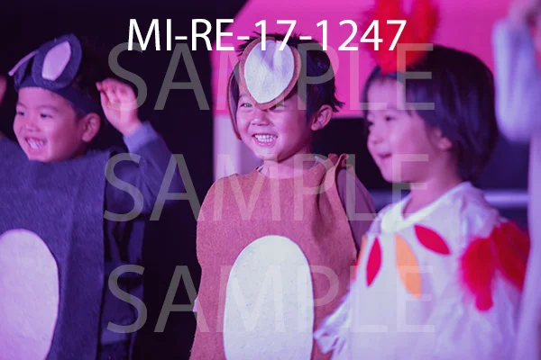 MI-RE-17-1247.jpg
