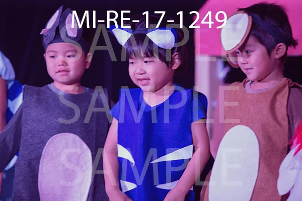MI-RE-17-1249.jpg