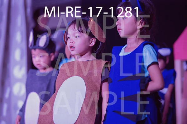 MI-RE-17-1281.jpg