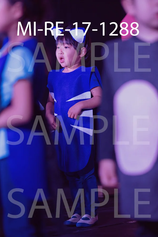 MI-RE-17-1288.jpg