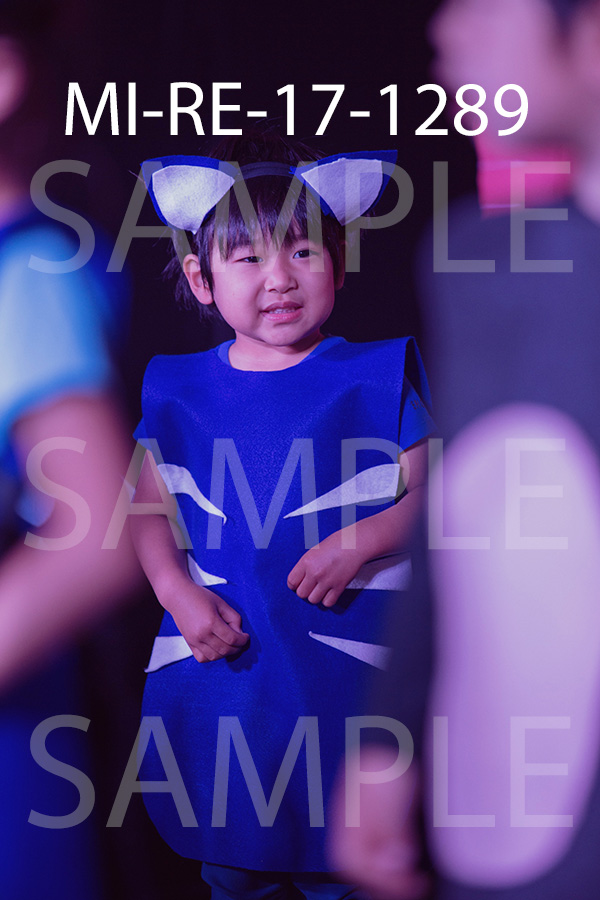 MI-RE-17-1289.jpg