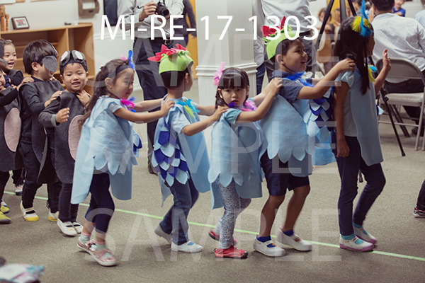 MI-RE-17-1303.jpg