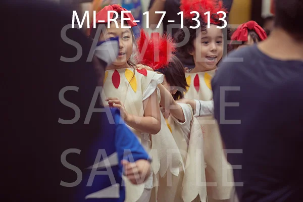 MI-RE-17-1313.jpg