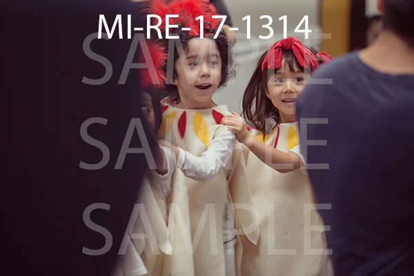 MI-RE-17-1314.jpg
