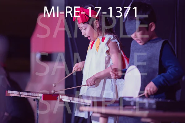 MI-RE-17-1371.jpg