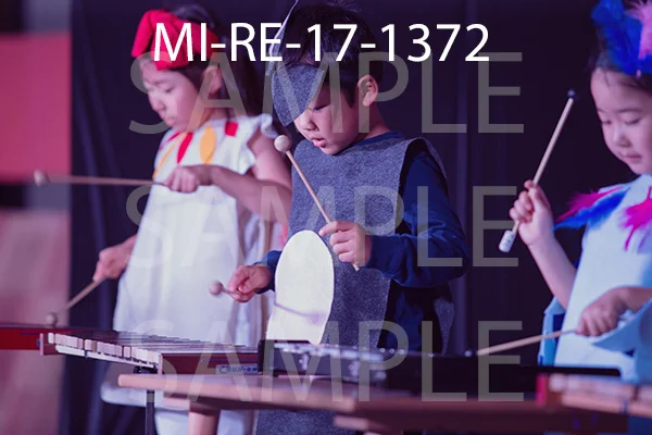MI-RE-17-1372.jpg
