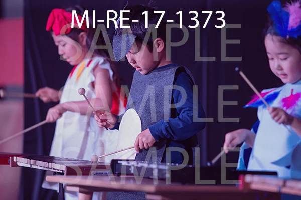 MI-RE-17-1373.jpg