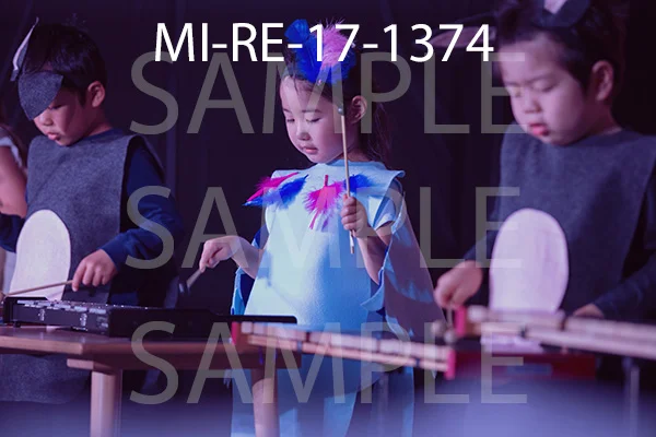 MI-RE-17-1374.jpg