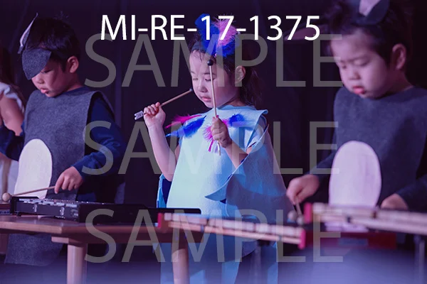 MI-RE-17-1375.jpg