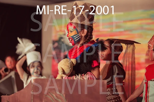 MI-RE-17-2001.jpg