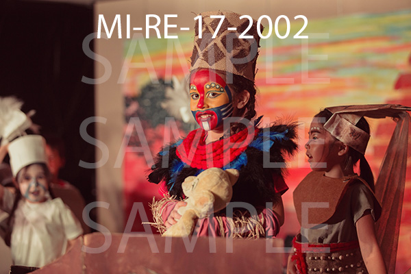 MI-RE-17-2002.jpg