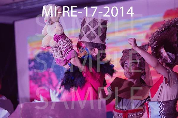 MI-RE-17-2014.jpg