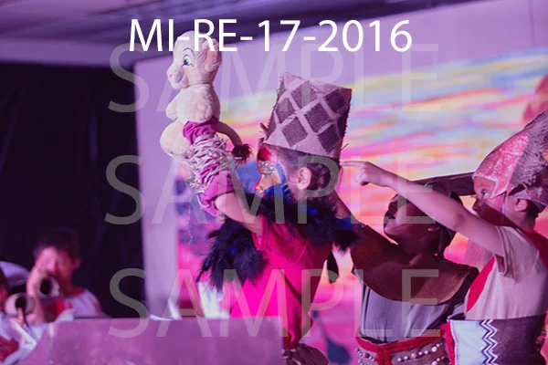 MI-RE-17-2016.jpg