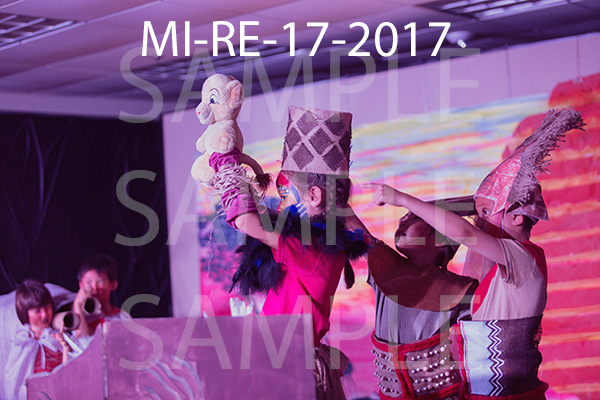 MI-RE-17-2017.jpg