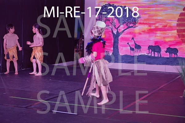 MI-RE-17-2018.jpg