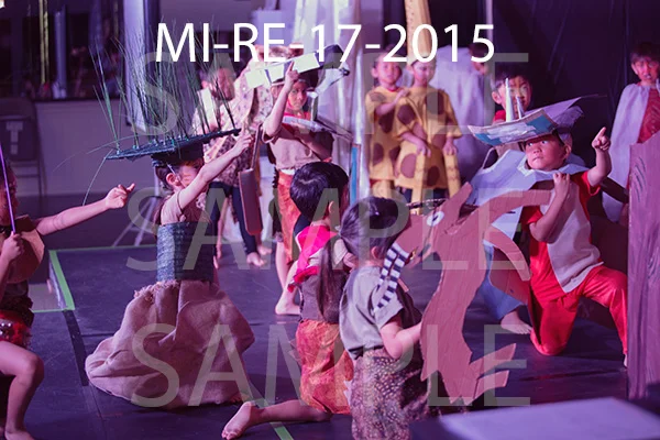 MI-RE-17-2015.jpg