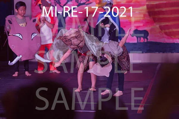 MI-RE-17-2021.jpg