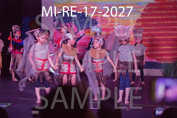 MI-RE-17-2027.jpg