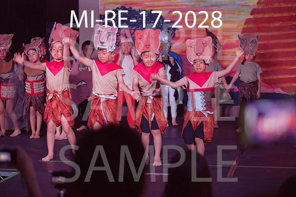 MI-RE-17-2028.jpg
