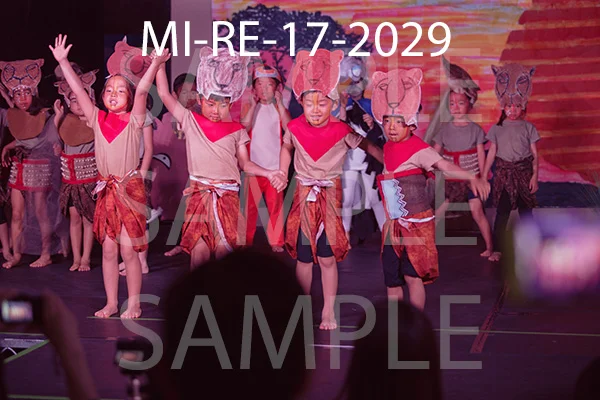 MI-RE-17-2029.jpg