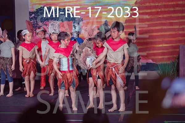 MI-RE-17-2033.jpg