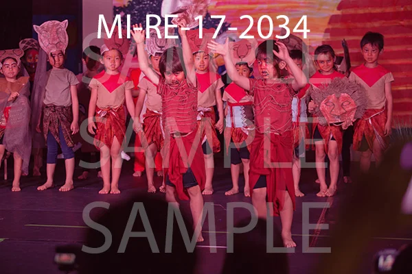 MI-RE-17-2034.jpg