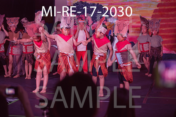 MI-RE-17-2030.jpg