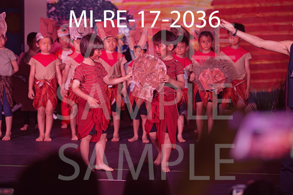 MI-RE-17-2036.jpg