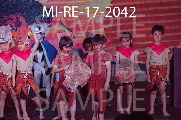 MI-RE-17-2042.jpg
