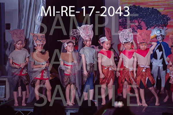MI-RE-17-2043.jpg