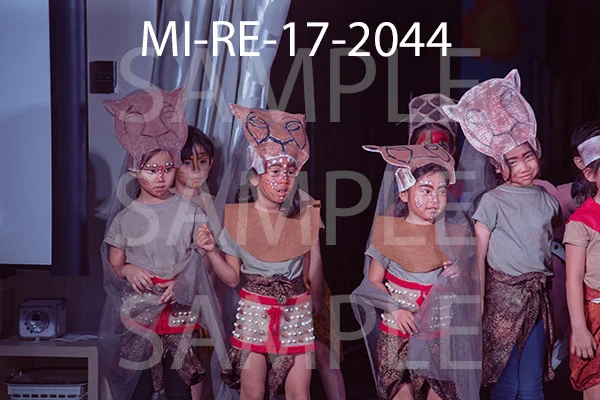 MI-RE-17-2044.jpg