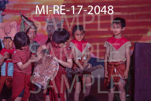 MI-RE-17-2048.jpg