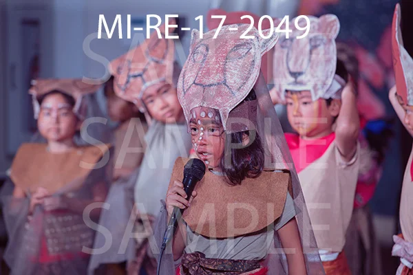 MI-RE-17-2049.jpg