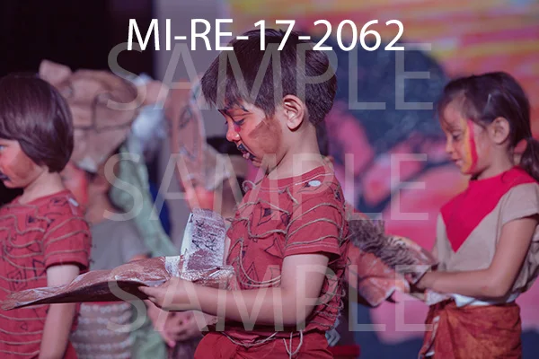 MI-RE-17-2062.jpg