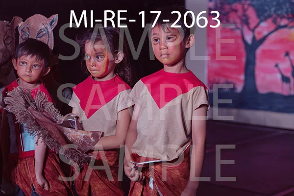 MI-RE-17-2063.jpg