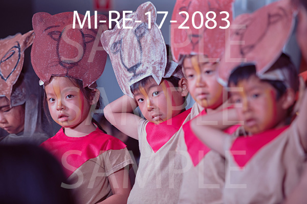 MI-RE-17-2083.jpg