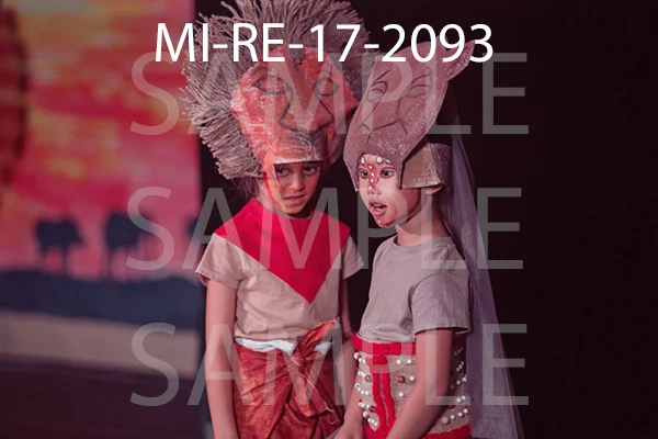 MI-RE-17-2093.jpg