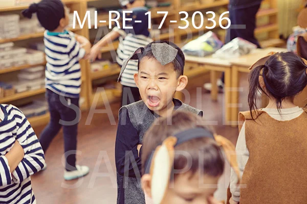 MI-RE-17-3036.jpg