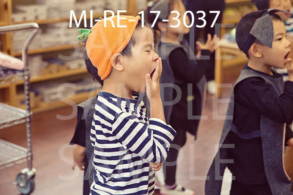 MI-RE-17-3037.jpg